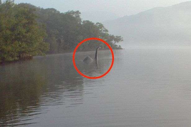 Se difunde nueva fotografía del supuesto Monstruo del Lago Ness 